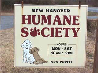 New hanover county humane society amerigroup community care provider update form